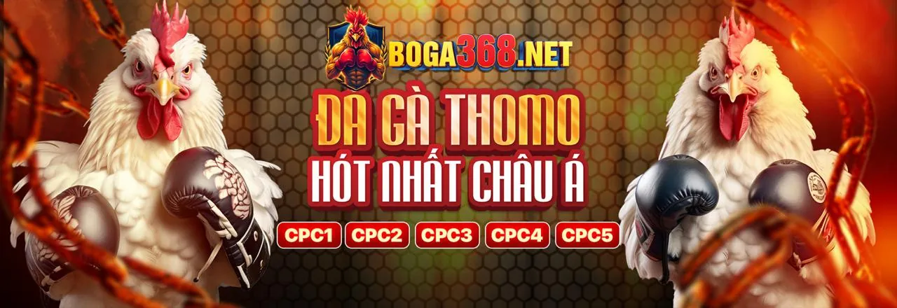 Hướng dẫn từng bước tham gia cược Tài Xỉu tại nhà cái AGBONG88
